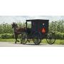 Amish Spring Auction