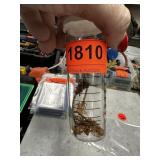 CONTAINER OF SCORPIONS