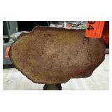 FOSSILIZED RED PALM SPECIMEN 841G
