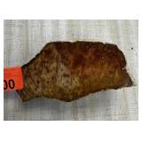 FOSSILIZED RED PALM 709G