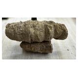 FOSSIL / CORAL I THINK 335G