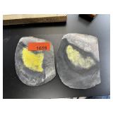 2PC SLABS PETRIFIED PALM 519G