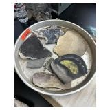 LOT OF MIXED PETRIFIED PALM