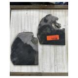 2PC SLABS OF FOSSILIZED PALM 712G