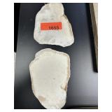 2PC SLABS FOSSILIZED PALM WOOD 247G