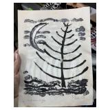 ORIGINAL PAINTING / PAPER MCKIE TROTTER LISTED AR