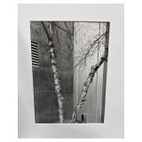 ORIGINAL PHOTOGRAPH MCKIE MAC TROTTER