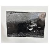 ORIGINAL PHOTOGRAPH MCKIE MAC TROTTER