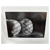ORIGINAL PHOTOGRAPH MCKIE MAC TROTTER
