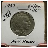 1937 BUFFALO NICKEL FULL HORN