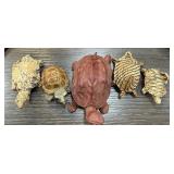 LOT OF 5 TURTLES
