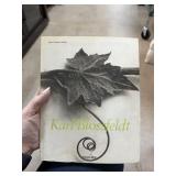 KARL BLOSSFELDT PHOTOGRAPHY BOOK