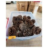 LARGE BIN OF PINECONES PINE CONES