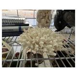 LARGE CORAL DISPLAY & MIXED SEA SHELLS