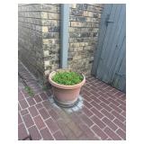 LARGE PLANTERS