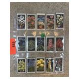 SET OF FLORAL TOBACCO CARDS