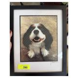 SIGNED DOG PHOTOGRAPH J SHANDINA