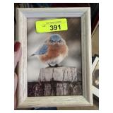 SIGNED MAD BLUEBIRD PHOTO MICHAEL L SMITH