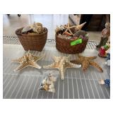 LARGE LOT OF SEASHELLS STARFISH +