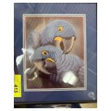 PAUL ROSS MACAW PRINT SIGNED