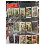 ANTIQUE ENGLISH TOBACCO CARDS