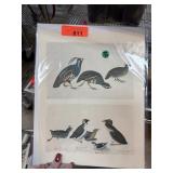 LOT OF VINTAGE ENGRAVIG PRINTS