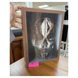 ALEXANDER MCQUEEN BOOK SAVAGE BEAUTY ALEXANDER MCQUEEN BOOK SAVAGE BEAUTY