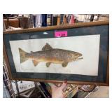 WATERCOLOR PAINTING KLOTT