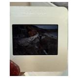 25 DAVID MECEY ORIG PLAYBOY PHOTOGRAPHER SLIDES