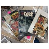 LOT OF COMIC BOOKS