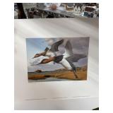 ROBERT STEINER SIGNED DUCK PRINT W STAMPS