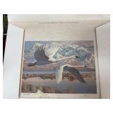 UTAH MIGRATORY WATERFOWL PRINT SIGNED NUMBERED