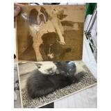 2PC VINTAGE PHOTOGRAPHS PETS