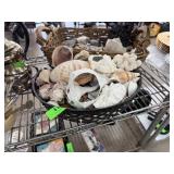 BASKET W LOT OF SEASHELLS