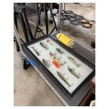 LOT OF FISHING LURES IN DISPLAY CASE / FLOAT