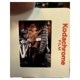 25 DAVID MECEY ORIG PLAYBOY PHOTOGRAPHER SLIDES