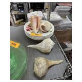 LOT OF SEA SHELLS / BOWLS