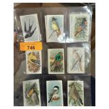 LOT OF VINTAGE ARM & HAMMER BIRD CARDS