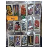 LOT OF VINTAGE TOBACCO CARDS