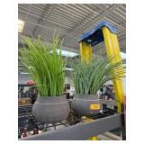 2PC LARGE TOPIARIES 2PC LARGE TOPIARIES