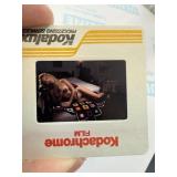 25 DAVID MECEY ORIG PLAYBOY PHOTOGRAPHER SLIDES
