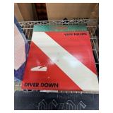 VAN HALEN DIVER DOWN VINYL RECORD