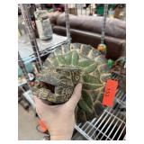 AZTEC QUETZALCOATL HEAD POTTERY SCULPTURE AZTEC QUETZALCOATL HEAD POTTERY SCULPTURE