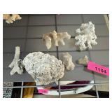 LARGE LOT OF MIXED CORAL LARGE LOT OF MIXED CORAL