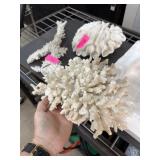 LARGE STAG HORN CORAL LARGE STAG HORN CORAL