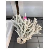 LARGE STAGHORN CORAL LARGE STAGHORN CORAL