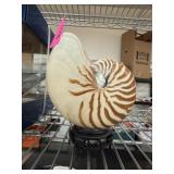 NAUTILUS SHELL MOUNTED NAUTILUS SHELL MOUNTED