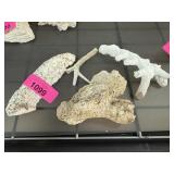 4PC CORAL 4PC CORAL