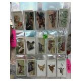 LARGE LOT OF MIXED VINTAGE TOBACCO CARDS LARGE LOT OF MIXED VINTAGE TOBACCO CARDS