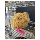 HUGE NAUTICAL SPONGE HUGE NAUTICAL SPONGE